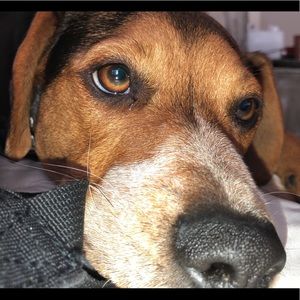 Meet your Posher, Jacob